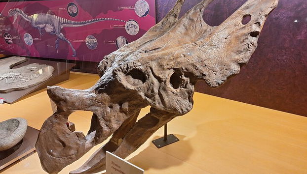 Visita ao Museu Jurássico de Astúrias a partir de Oviedo - Foto 5