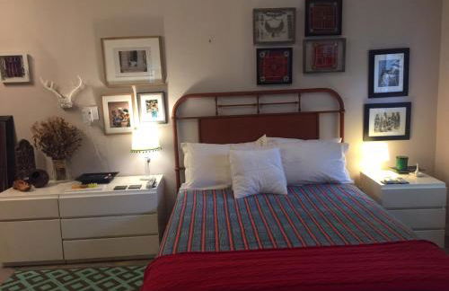 The Wild Rose - Foto 12