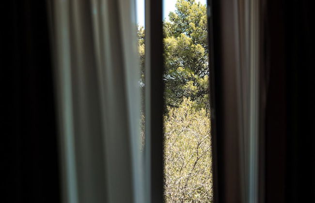 Manfredomus - Foto 46