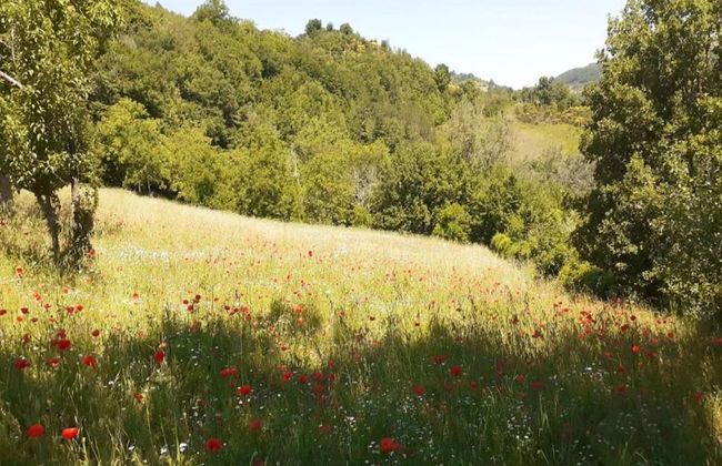 Spacious Countryside Escape - Foto 28