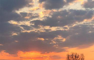 Sosnówka - dom wypoczynkowy na Kurpiach - Foto 35