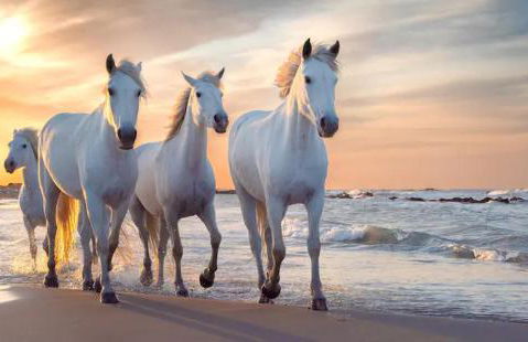 LE REGORDANE - Appartement 4 personnes - Centre WiFi Cosy - Foto 32