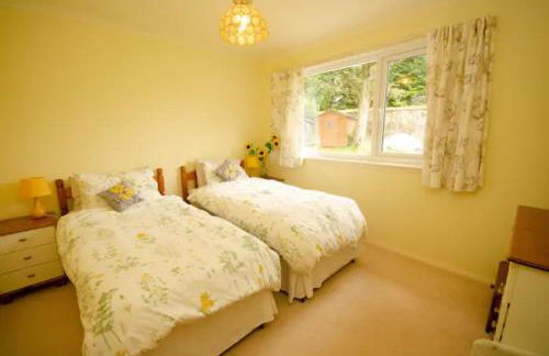 Home Comforts in Peaceful 2 Acres - Photo 73