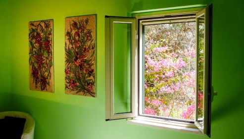 Tenuta Bartoli - Foto 4, Garden