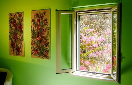 Tenuta Bartoli - Foto 4