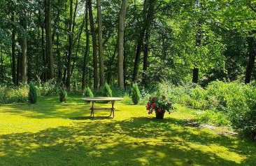 Schöne Wohnung im Naturidyll - Foto 15