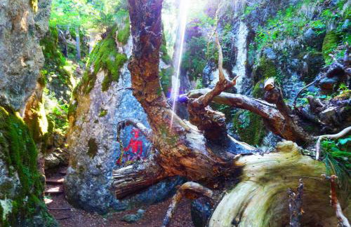 Me(H)rblick - Pool - Balkon - Panorama - Foto 15