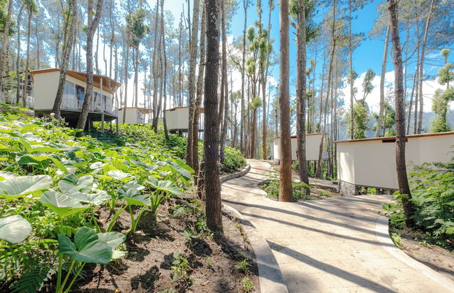 La Pino Mount Batur and Hot Spring - Foto 33