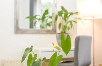 Silver Pines - 2BR - King Bed - 6 Guests - Wi-Fi - Free Parking - Foto 11