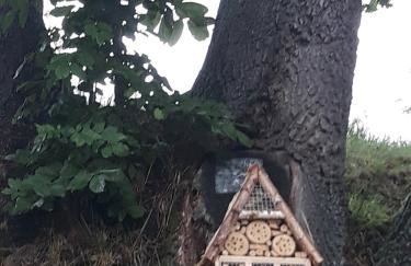 Agroturystyka Łysa Góra - Foto 68