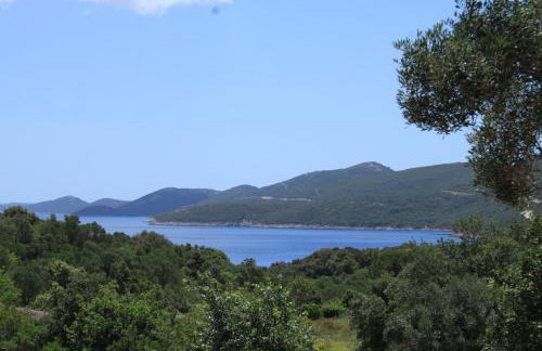 Apartments with parking space Sveti Jakov, Losinj - 8011 - Foto 15