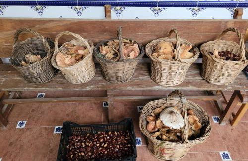 Casa Pozo Tarama - Foto 36