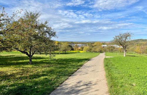 Sonnige 3 Zimmer Wohnung mit schönem Balkon im Grünen - Foto 19