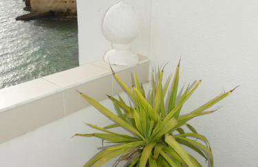 Ocean View Terrace, The Best Sea View, in front of Carvoeiro beach - Foto 77