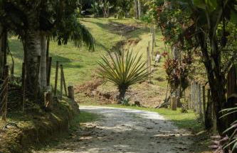 Pousada Nonno Marquetti - Foto 23