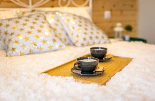 Villa Kasztelan Apartamenty - Foto 4