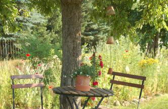 Ferienwohnung Katzstein - Foto 9