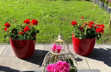 Apartamenty Arkadia przy Amfiteatrze - Foto 23