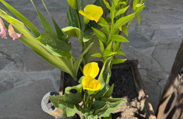 Casa Rural La Cordonera - Foto 40