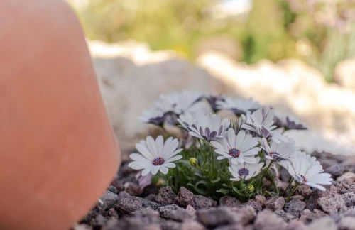 Casa Rural Cortijo Rizao - Foto 68