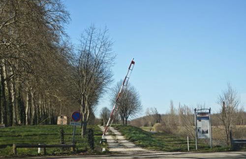 Les coccinelles - Foto 12