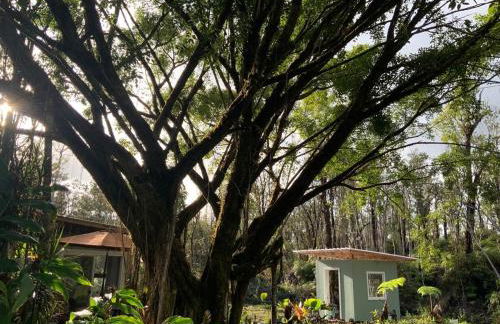 Majestic Banya tree cabin - Foto 40