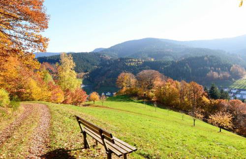 Ferienwohnung Fürstenkopf - Foto 10