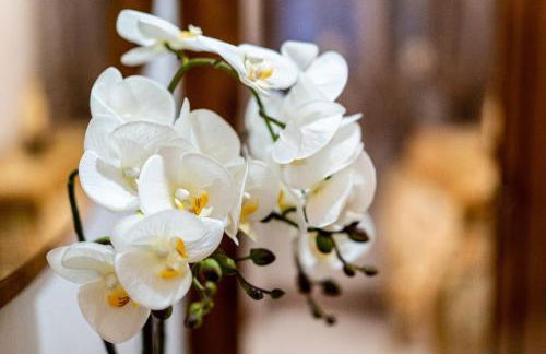 To Be Home - Foto 10