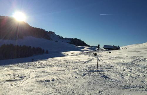 Beautiful Lake Annecy Villa - Foto 4