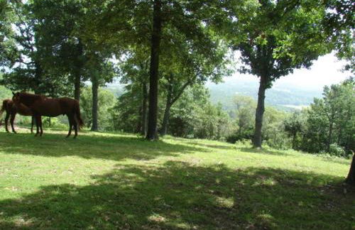 Cherokee mountain log cabin resort - Foto 160