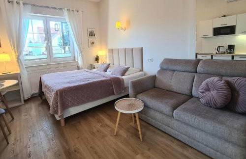 APARTAMENTY "LA VILLA" z prywatnym parkingiem, klimatyzacją, ogrodem, blisko centrum - Foto 11