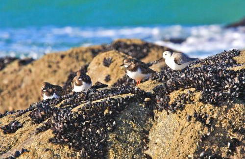 Casas e Quintas de Praia - Foto 12