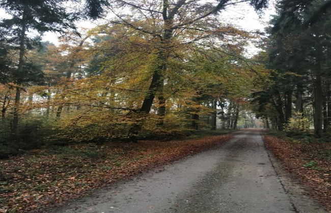 Holiday Home in Oisterwijk With Private Pool - Foto 32