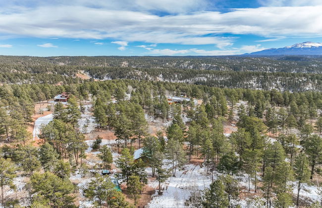 The Bear Den - Foto 71