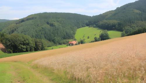Geigerbauernhof - Foto 5