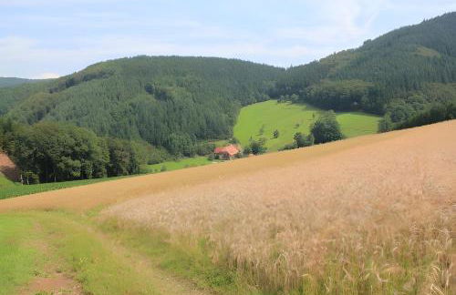 Geigerbauernhof - Foto 5
