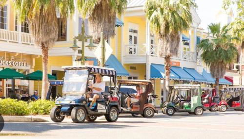 The Golden Palm Mins to Eastport Square and Middleton With Electric Golfcart - Foto 3