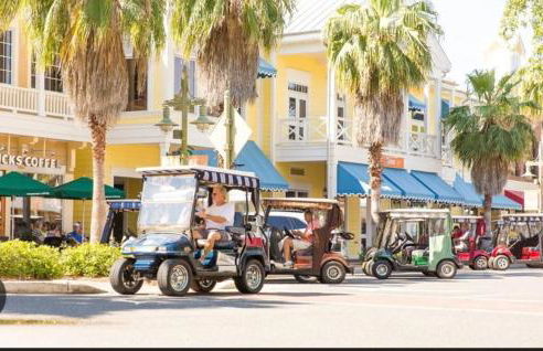 The Golden Palm Mins to Eastport Square and Middleton With Electric Golfcart - Foto 3