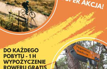 BLOMMA Niechorze - Foto 9