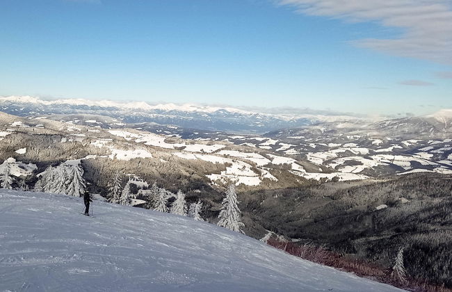 Klippitzrose - Foto 39