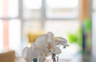 Lovely 2-bed 20 mins to central London - Foto 9