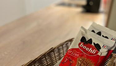 The Little Studio - Foto 3