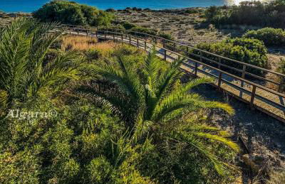 Agua Marina - Foto 41