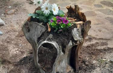 La cabaña de Paredes - Photo 44