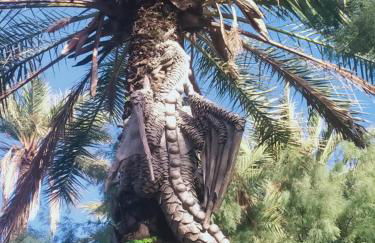 Sol de mar, La Mata (Hiszpania) - Foto 71