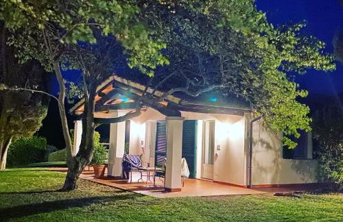 Ghiaccio Bosco - Foto 42