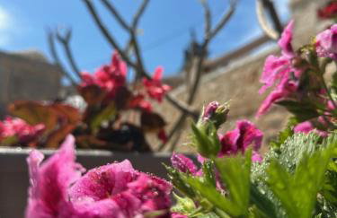 H-aris Seafront Mansion - Foto 58