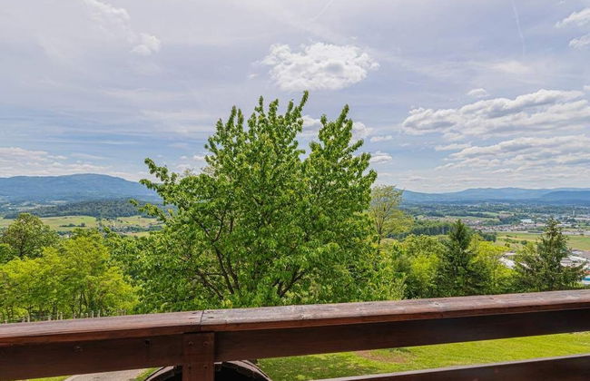 Vineyard Cottage Rataj - Foto 22