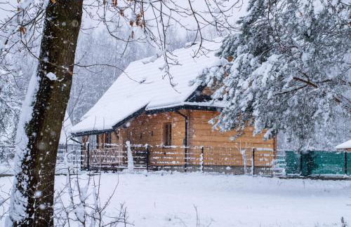 Trzy Stawy - Foto 16