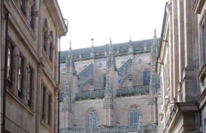 LAS CATEDRALES De SALAMANCA - Foto 38